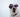 Is natvoer beter voor honden?