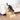 Trixie Trap Petstair Vurenhout