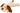 Trixie Hond Benny Pluche Beige / Bruin