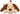 Trixie Hond Benny Pluche Beige / Bruin