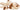 Trixie Hond Benny Pluche Beige / Bruin